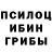 Галлюциногенные грибы MAGIC MUSHROOMS lloyd watkinson