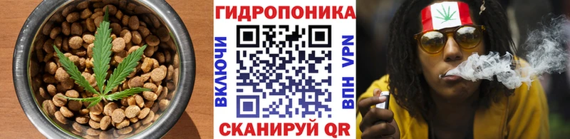 Купить закладки  Кингисепп  Еда ТГК марихуана 