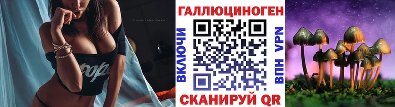 Псилоцибиновые грибы прущие грибы  Купить  Кингисепп 